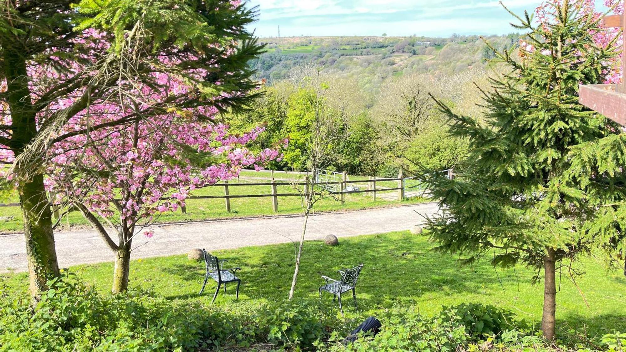 The Old Mountain Stables Caerllwyn Ganol Farm Apartment Newport  Luaran gambar