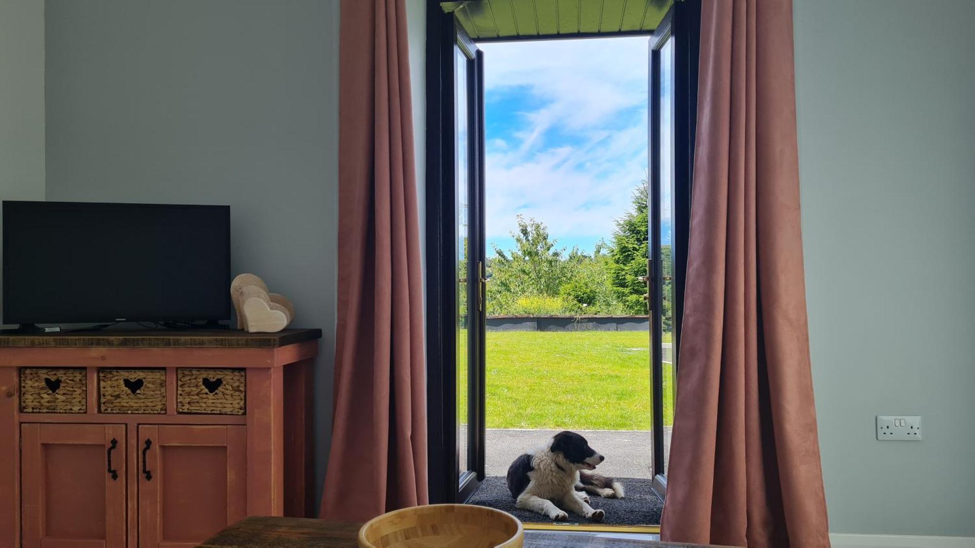 The Old Mountain Stables Caerllwyn Ganol Farm Apartment Newport  Bilik gambar